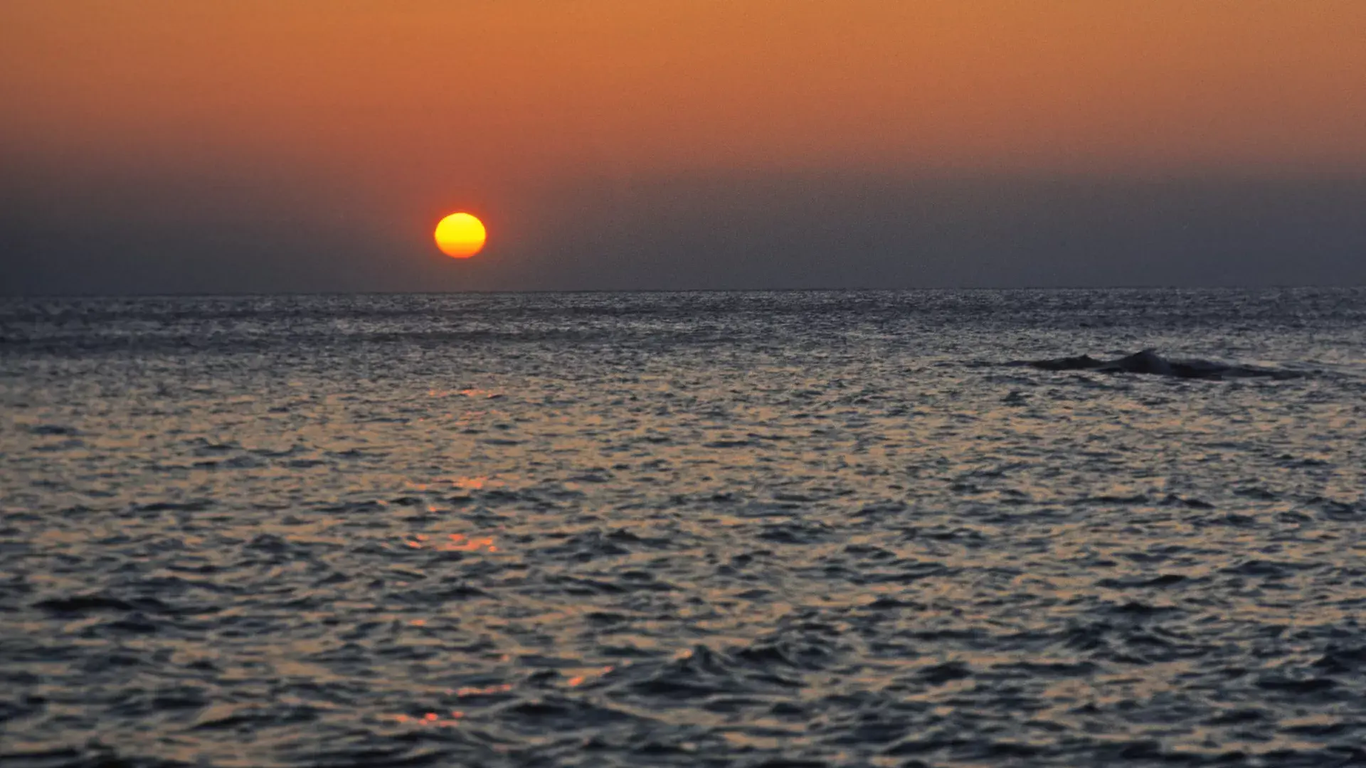 Китай полностью согласен с высказанными Россией