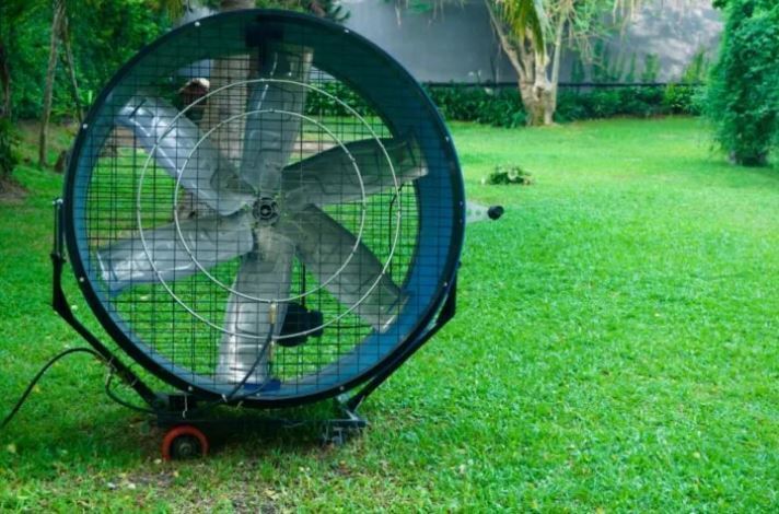 7 способов защитить ваши растения от внезапного заморозка