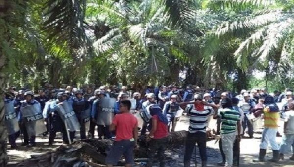 Гондурасский защитник окружающей среды убит в Бахо-Агуане