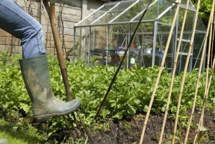 7 способов защитить ваши растения от внезапного заморозка