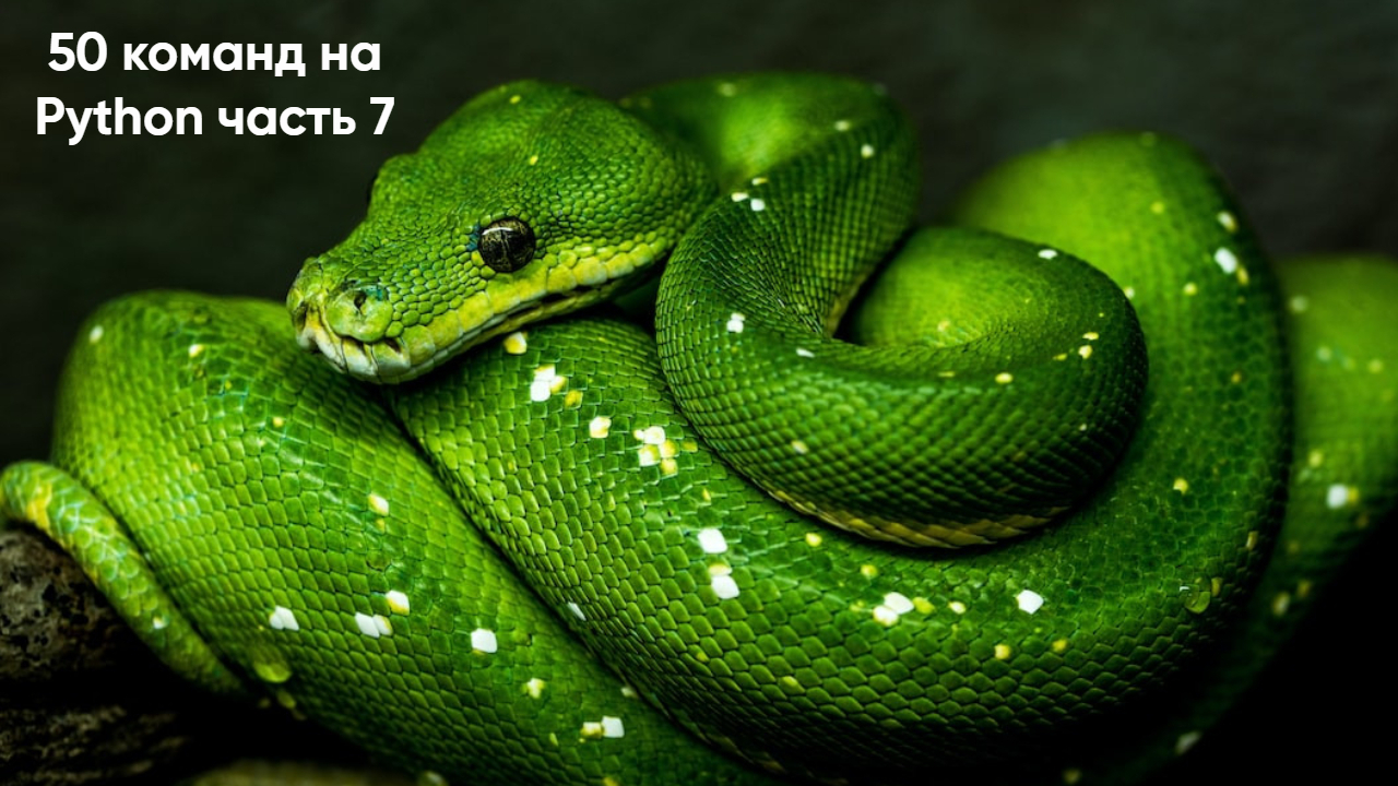 50 команд на Python часть 7. Weak references, Выделение данных, Shelving data, Threads, Ввод данных.