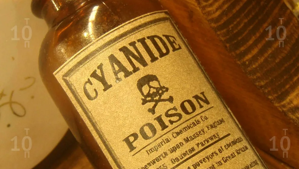 Дуракам везёт. А мы не такие?