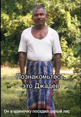 Человек посадивший лес за 40 лет