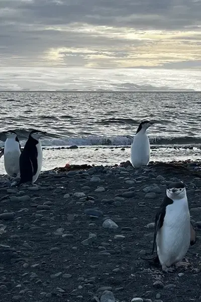 Вдохновляющая суперженщина Лиза установила 10 рекордов в полярной гребной экспедиции.