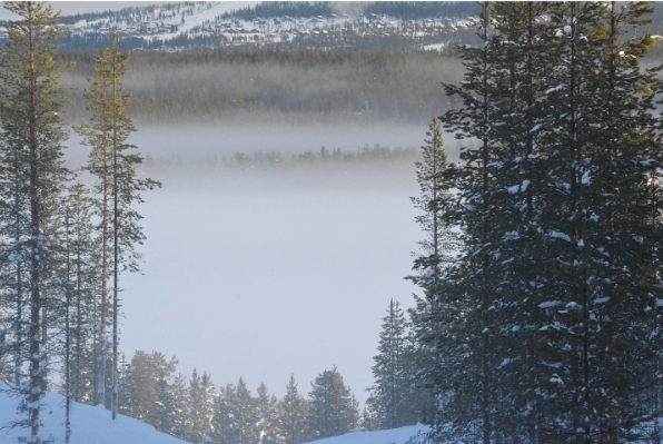 5 языков о которых мало кто знает