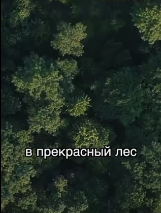 Человек посадивший лес за 40 лет