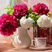 Fortune85, г. Москва