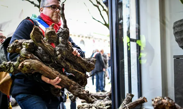 Неужели красное вино на грани?