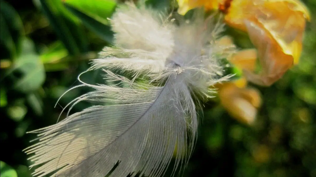 Вы верите в Ангела-Хранителя? Знаки, свидетельствующие, о том, что Ангел-Хранитель рядом с Вами.