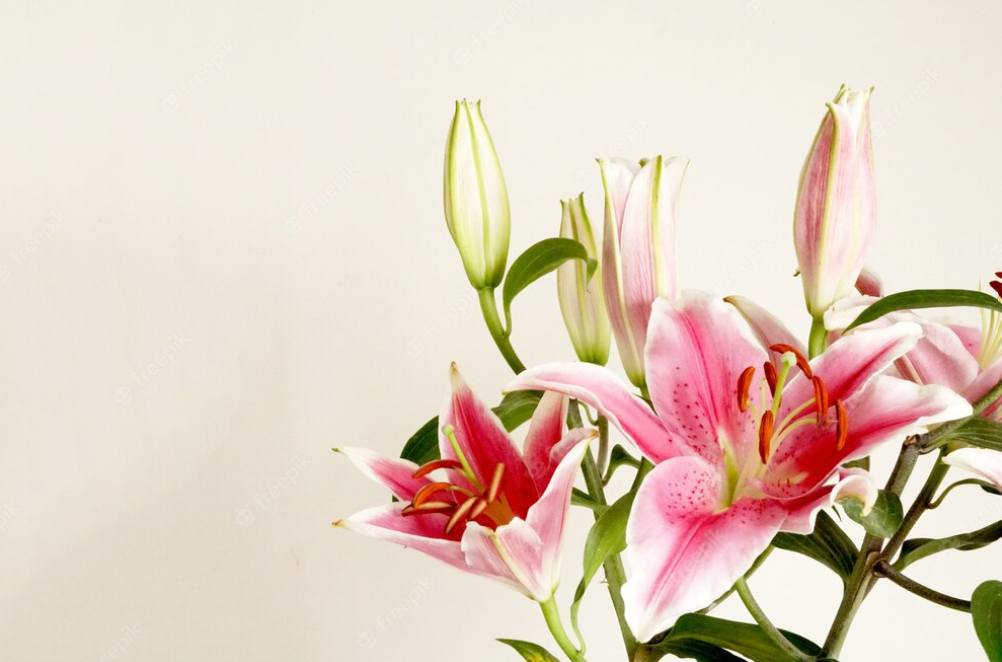 Живи как цветы. Поучительный рассказ.