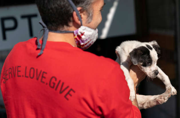 4 факта о ветеринарах.