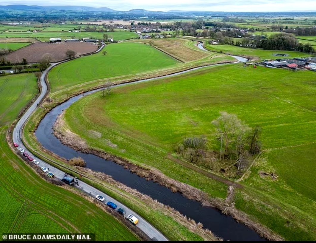В поисках пропавшей Николы Булли