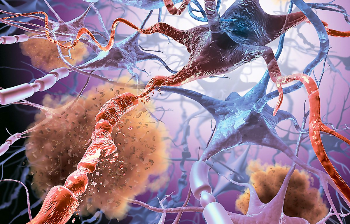 Нервные клетки не восстанавливаются. Правда или миф?