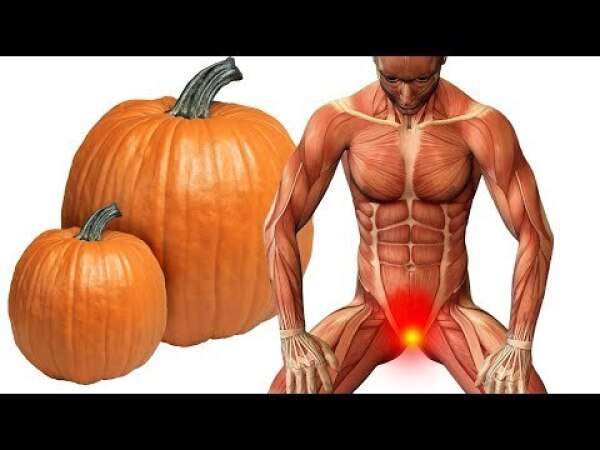 Тыква чем полезна для организма человека вареная. Тыква фицефалия.