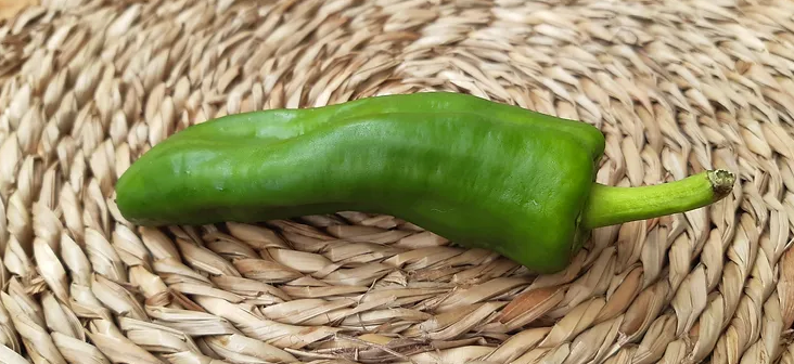 Все о Pimientos de padrón
