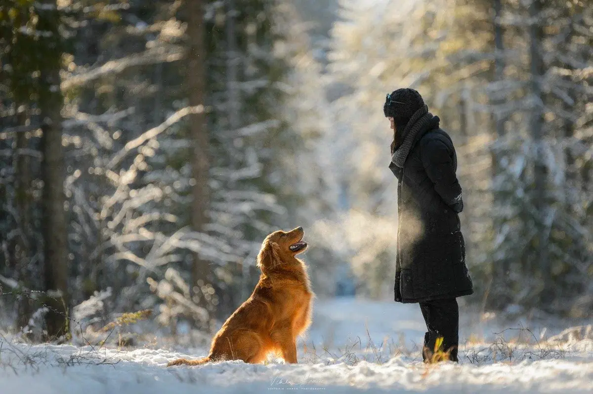 Вы верите в Ангела-Хранителя? Знаки, свидетельствующие, о том, что Ангел-Хранитель рядом с Вами.