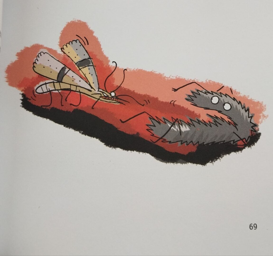 Вы задумывались, куда исчезают носки во время стирки? Кладёшь в стиральную машину оба, а достаёшь только один.