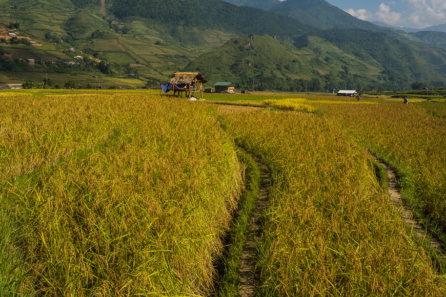 Вещи, которые вам понравятся в Mu Cang Chai.