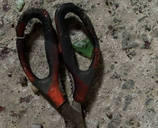 Пример насилия над животными: на Сахалине дети нашли расчлененное тело хаски на заброшенной стройке