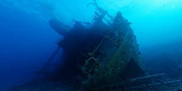 В швейцарии был обнаружен клад на затонувшем корабле.