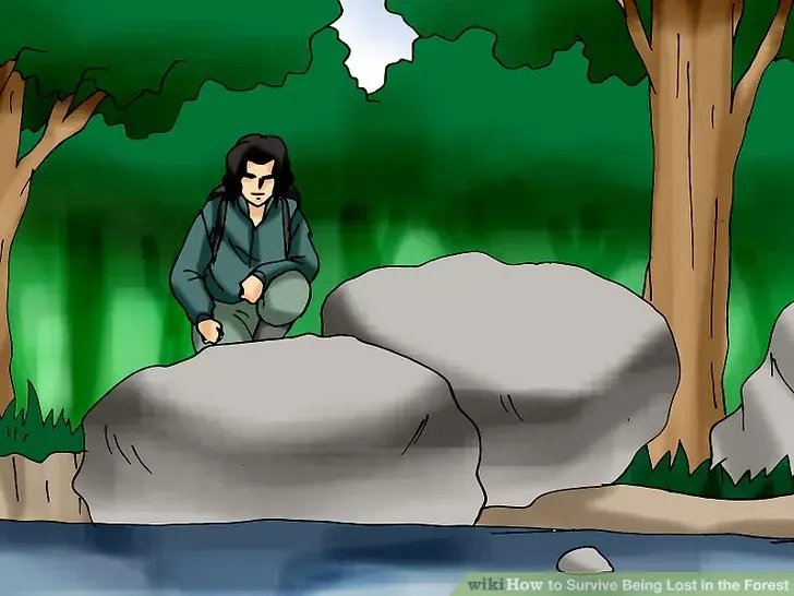 Как выжить, потерявшись в лесу?