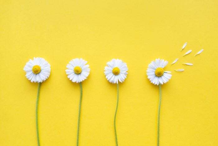 12 советов, как сохранять позитивный настрой и чувствовать приподнятое настроение каждый день