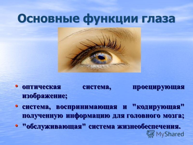 Ресницы выполняют функции. Функции глаза. Основные функции глаза. Основные функции глаза человека. Функции зрения глаза.