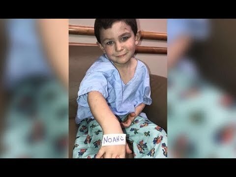 "Маленький герой: Петя спас котенка от нападения большой собаки"