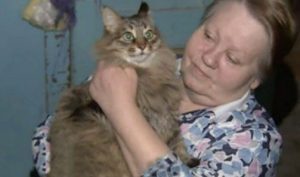 Кошка спасла новорожденного ребенка, которого безжалостно бросили в маленькой коробке в подвале