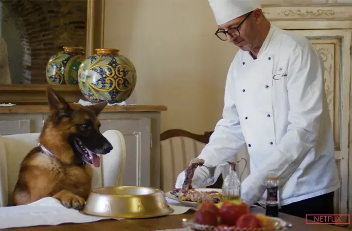 Правда о самой богатой собаке в мире и звезде сериала «Миллионы Гюнтера» на Netflix