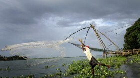 На юге Индии найден новый вид маленьких слепых рыб, живущих без света