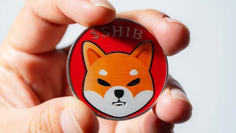 Shiba Inu L2 Shibarium будет выпущен в бета версии на следующей неделе