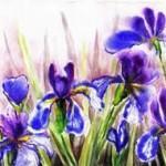 Любимые цветы и Ваш характер? мужчинам на заметку, как осчастливить свою вторую половинку?