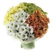 Любимые цветы и Ваш характер? мужчинам на заметку, как осчастливить свою вторую половинку?