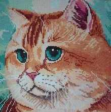 Витек, г. Раздольное