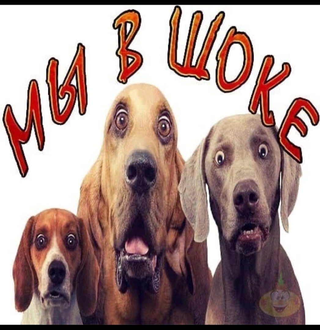 Очередной удар от "Россельхознадзора"