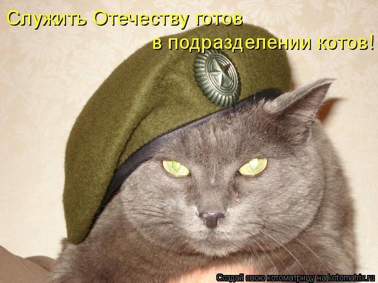 Скачай это бесплатное Фото на тему Так точно и открой
