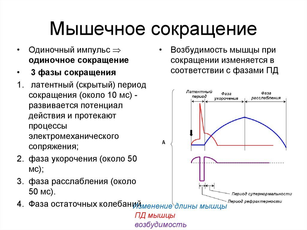 Схема укорачивания импульса