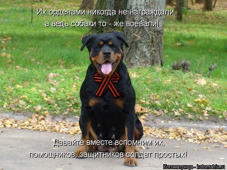 Поздравляем славных защитников!