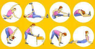 Почему так важна гибкость позвоночника?