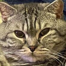 Алексей А, г. Подольск