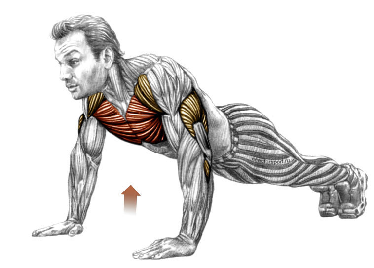 Для того, чтобы укрепить мышцы, следует практиковать разнообразную двигательную активность.