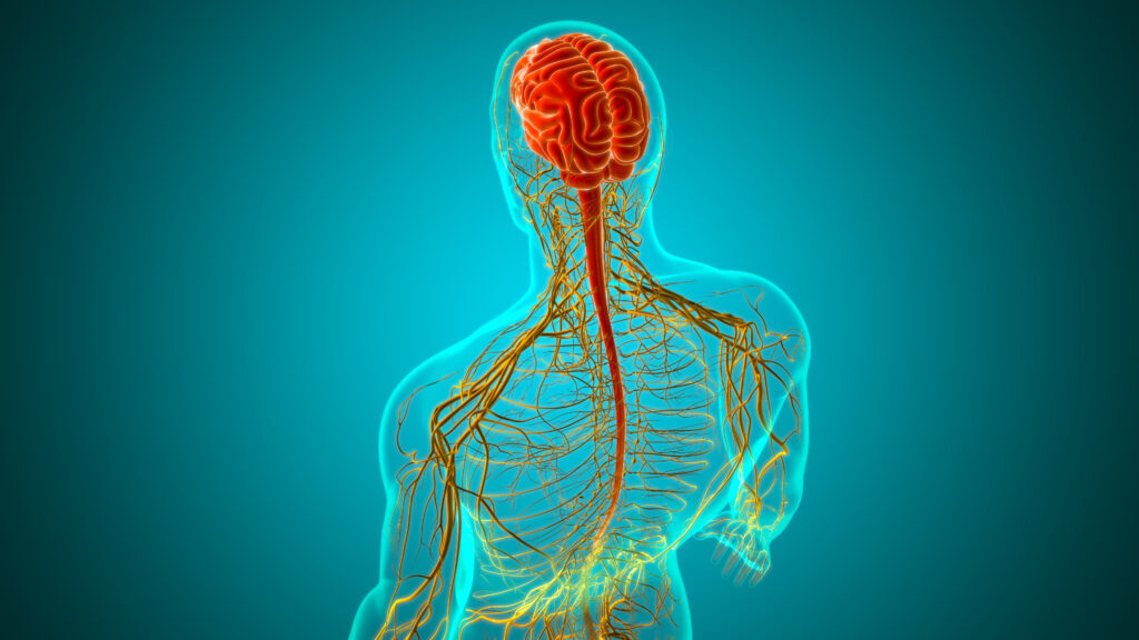 Есть ли у растений эмоции.