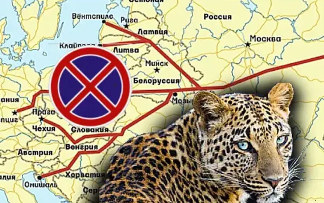 Дружба дружбой (зверей не обслуживаем).