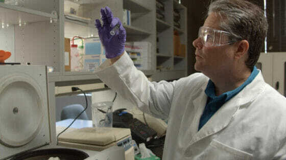 Тенденция к жужжащим съедобным насекомым набирает обороты на Западе