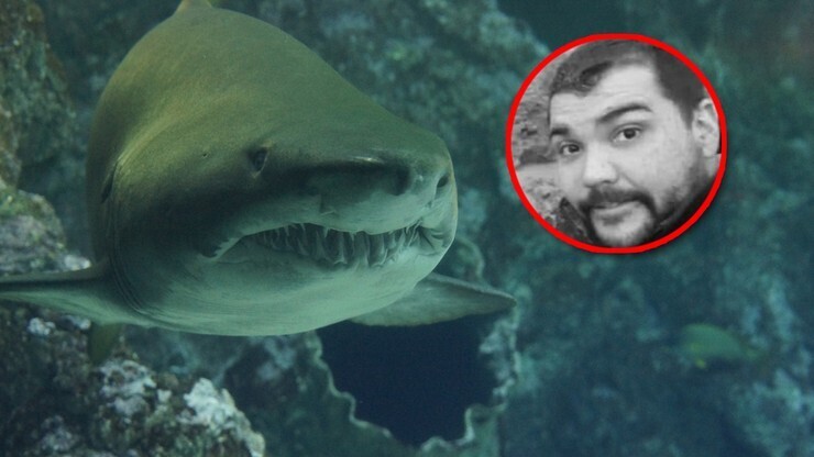 Он пропал несколько дней назад. Его останки нашли в брюхе акулы