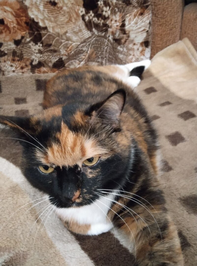 Праздничное приключение Маши и Италияши!