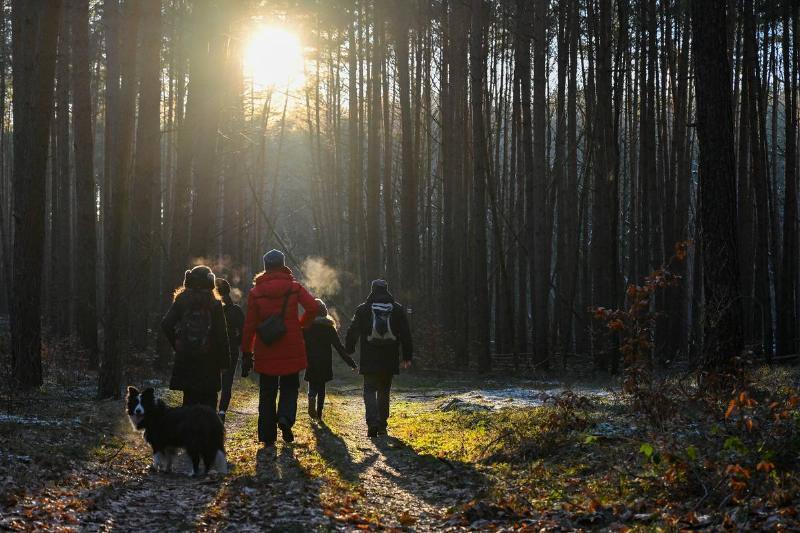 Это лучшие города для переезда в каждом американском штате