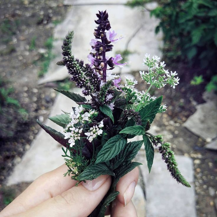 О чем же говорят цветы. Флюрографика.