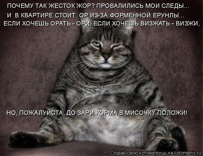 Мартовские коты, или весна идет, весне дорогу!